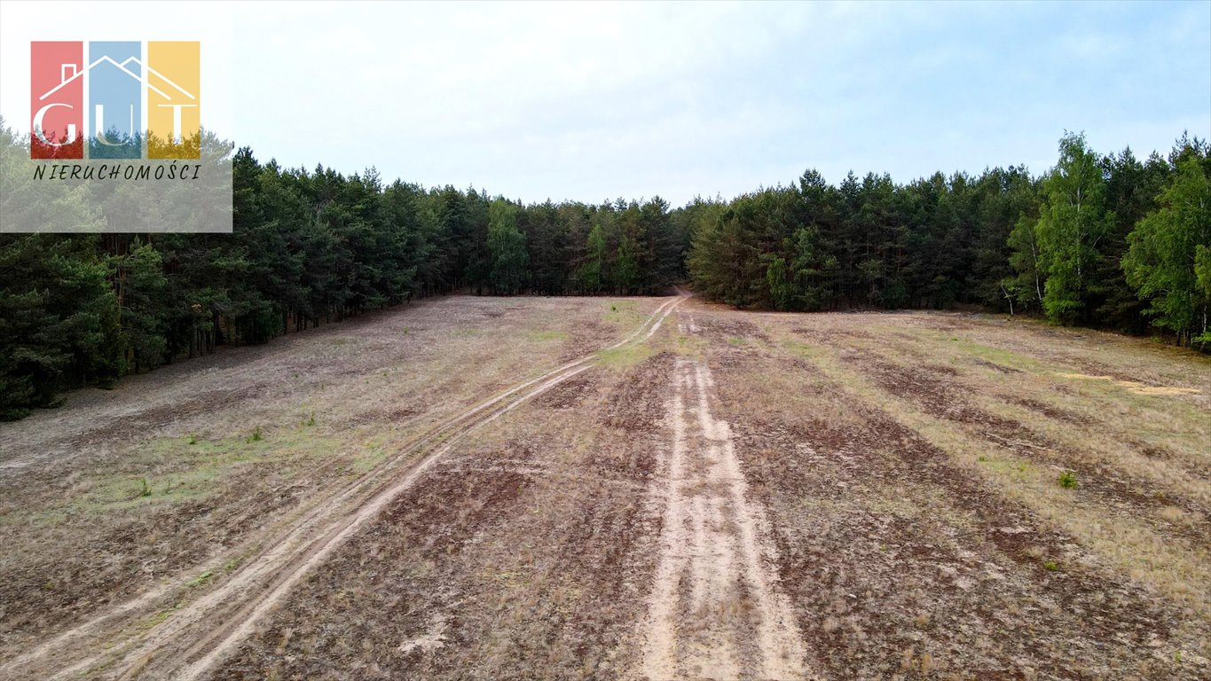 Działka rolna na sprzedaż Chorzele  52 470m2 Foto 2