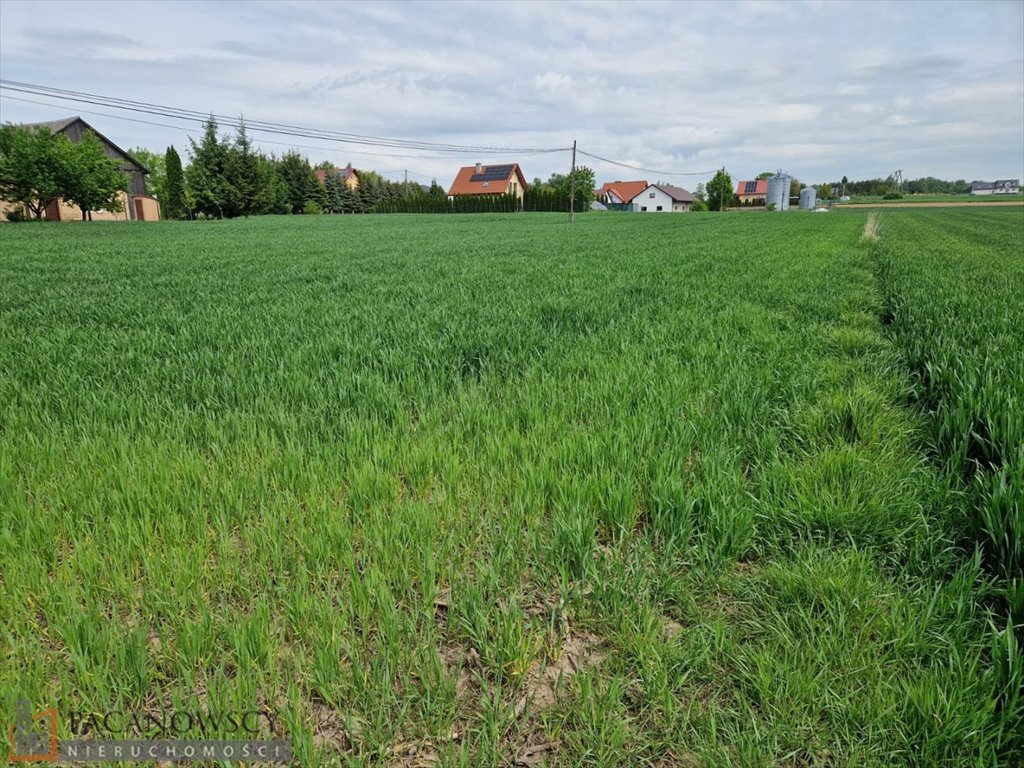 Działka 2400 m² z mediami, zabudowa mieszkaniowa i usługowa Sieciechowice  2 400m2 Foto 1