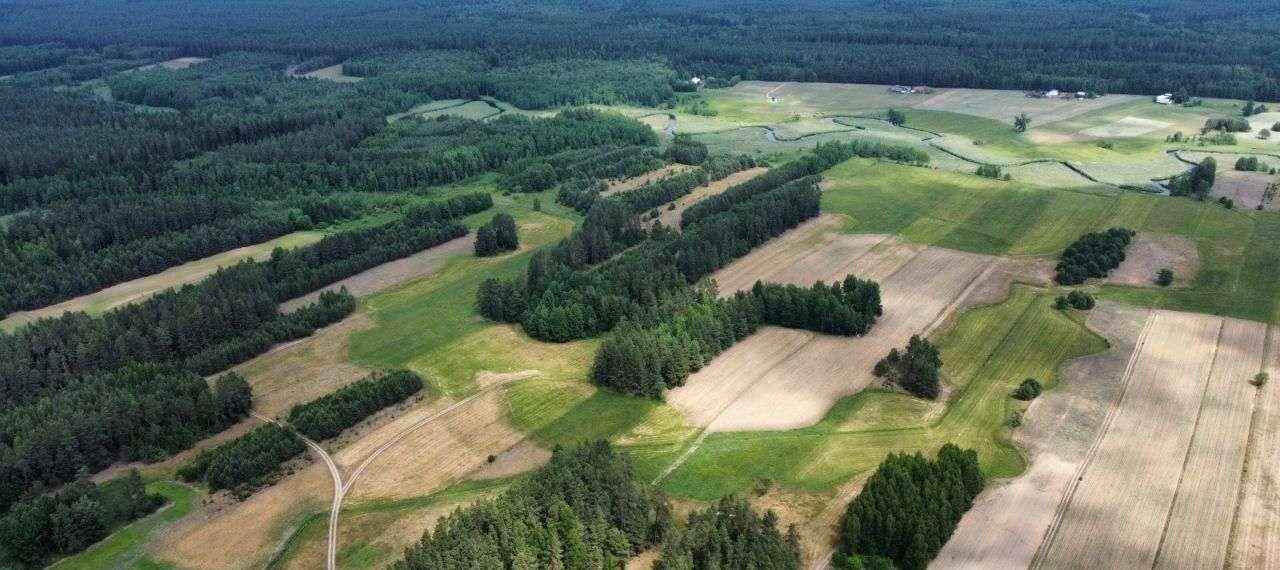 Działka rolna na sprzedaż Strzelcowizna  92 500m2 Foto 10