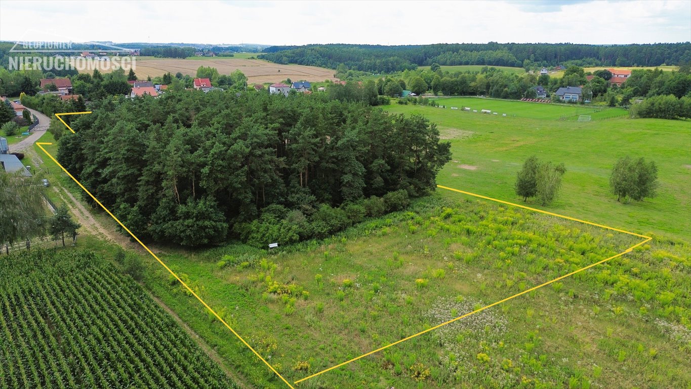 Działka budowlana na sprzedaż Zwierzewo, Zwierzewo  9 171m2 Foto 1