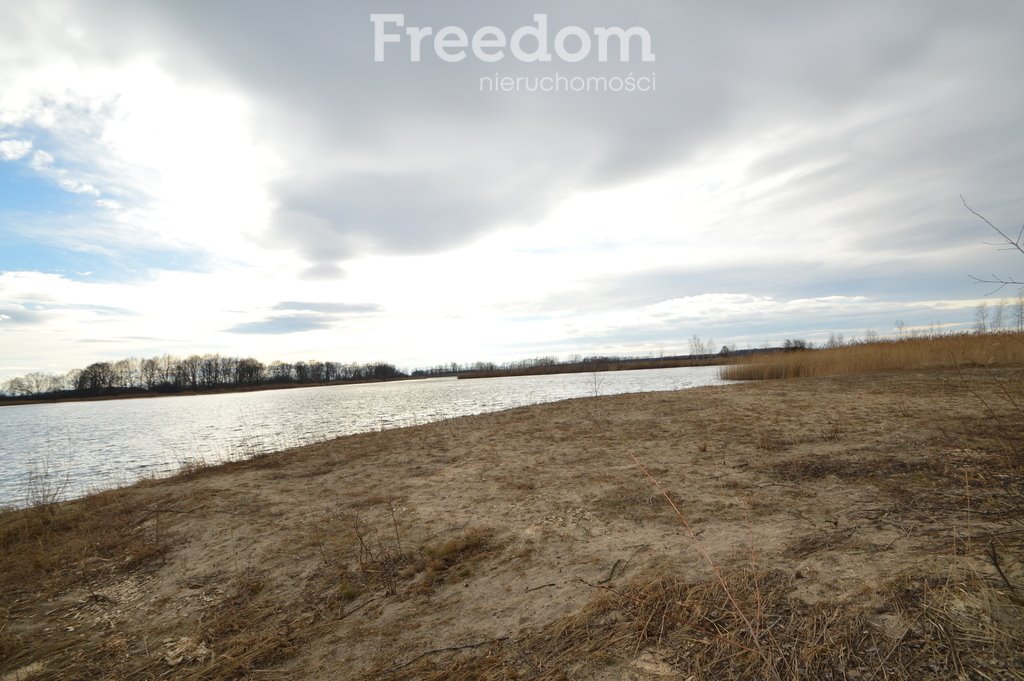 Działka inwestycyjna na sprzedaż Brzeziny  520 000m2 Foto 7