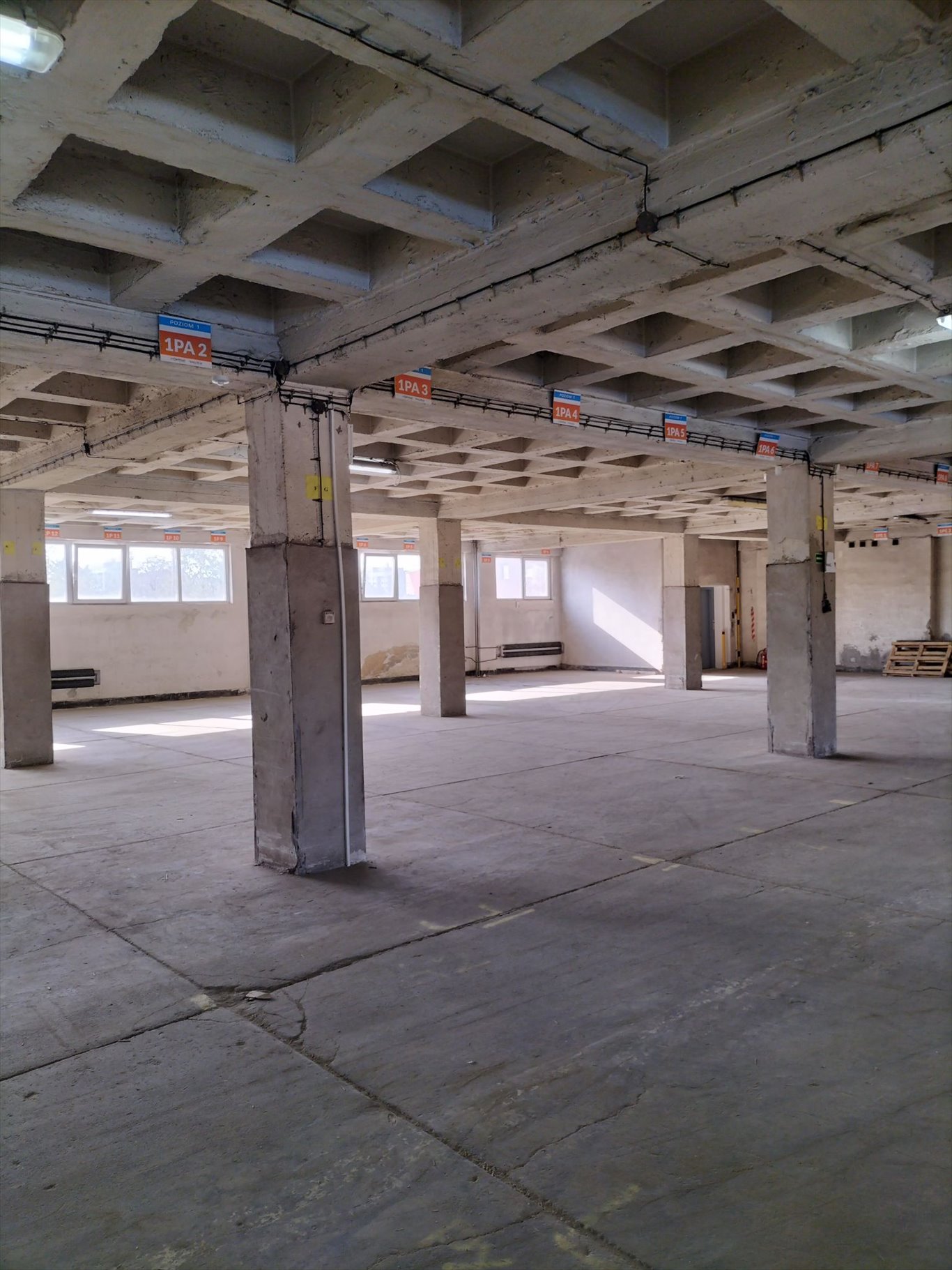 Magazyn 593 m² w Sosnowcu, dostęp z rampą - polecam! Sosnowiec, Pogoń, Ptasia 3  593m2 Foto 1