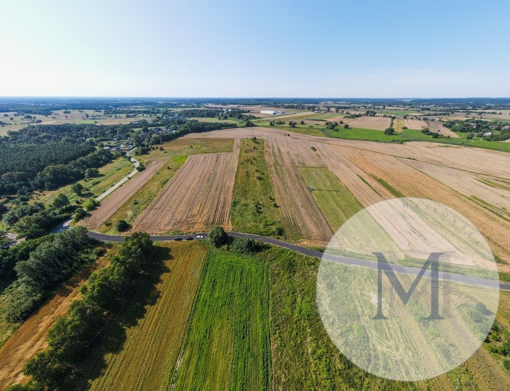 Działka inna na sprzedaż Gubin  8 393m2 Foto 3