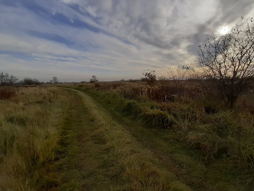 Działka inna na sprzedaż Górki  120 900m2 Foto 7