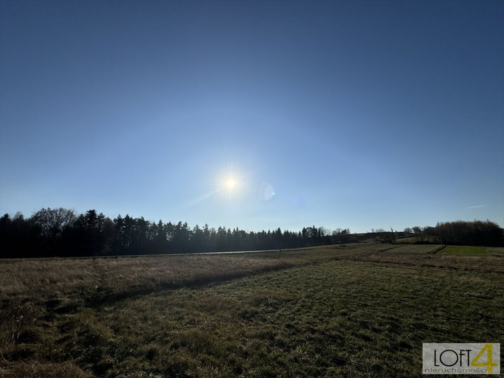 Działka budowlana na sprzedaż Polichty  3 000m2 Foto 6