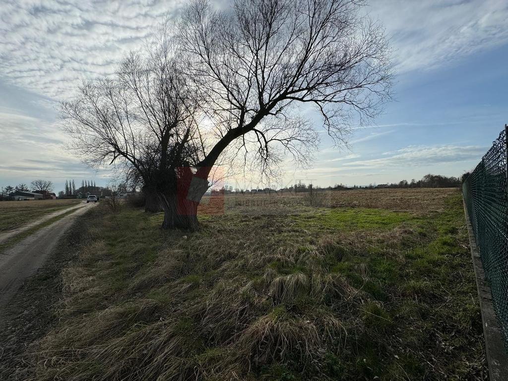 Działka budowlana na sprzedaż Lubczyna, Cisowa  1 078m2 Foto 5