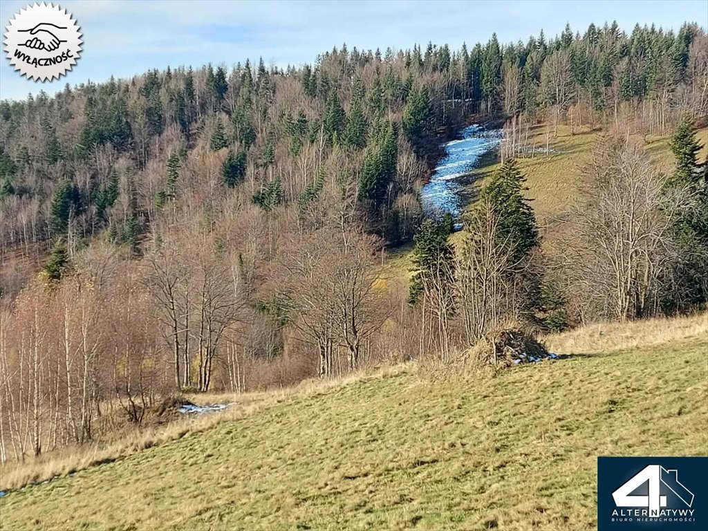 Działka budowlana na sprzedaż Przyborów, Moczarki 491  1 379m2 Foto 8