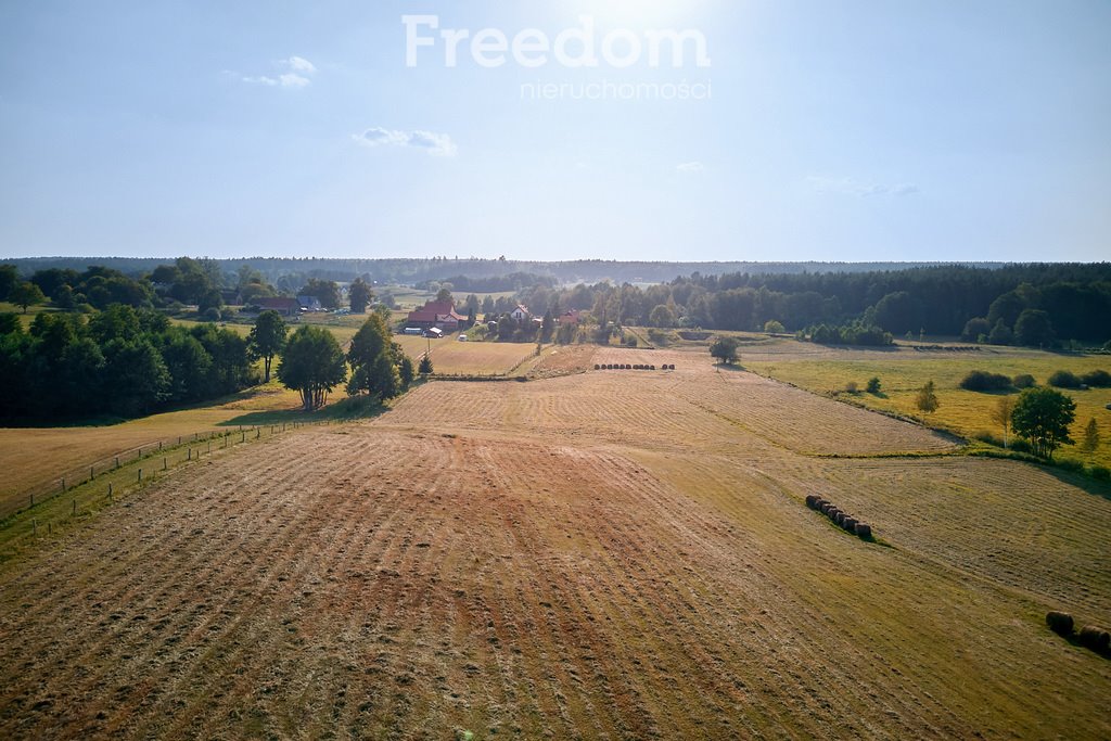 Działka budowlana na sprzedaż Lipowo  38 700m2 Foto 5