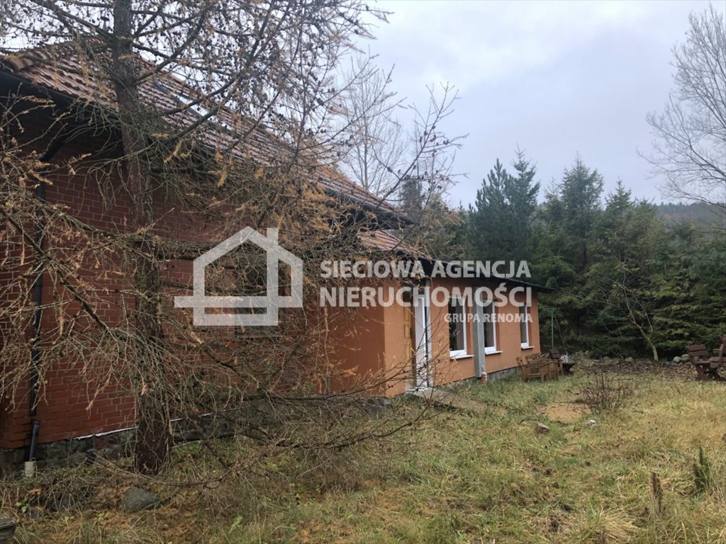 Lokal użytkowy na wynajem Rumia 260m2 Foto 1 Lokal użytkowy na wynajem Rumia 260m2 Foto 1