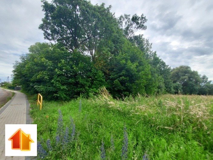 Działka siedliskowa 3000 m² z mediami i lasami (Tetyń) Tetyń, 7  3 000m2 Foto 1