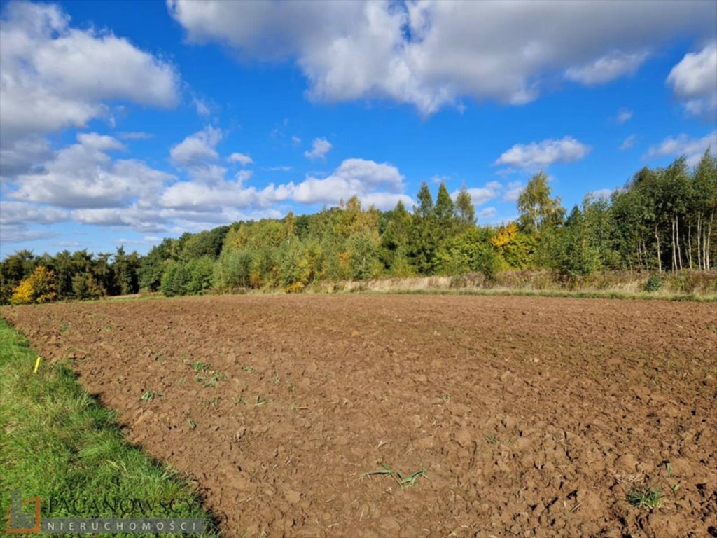 Widokowa działka budowlana 17,23 ara z mediami, blisko S7 Łuczyce  1 723m2 Foto 1