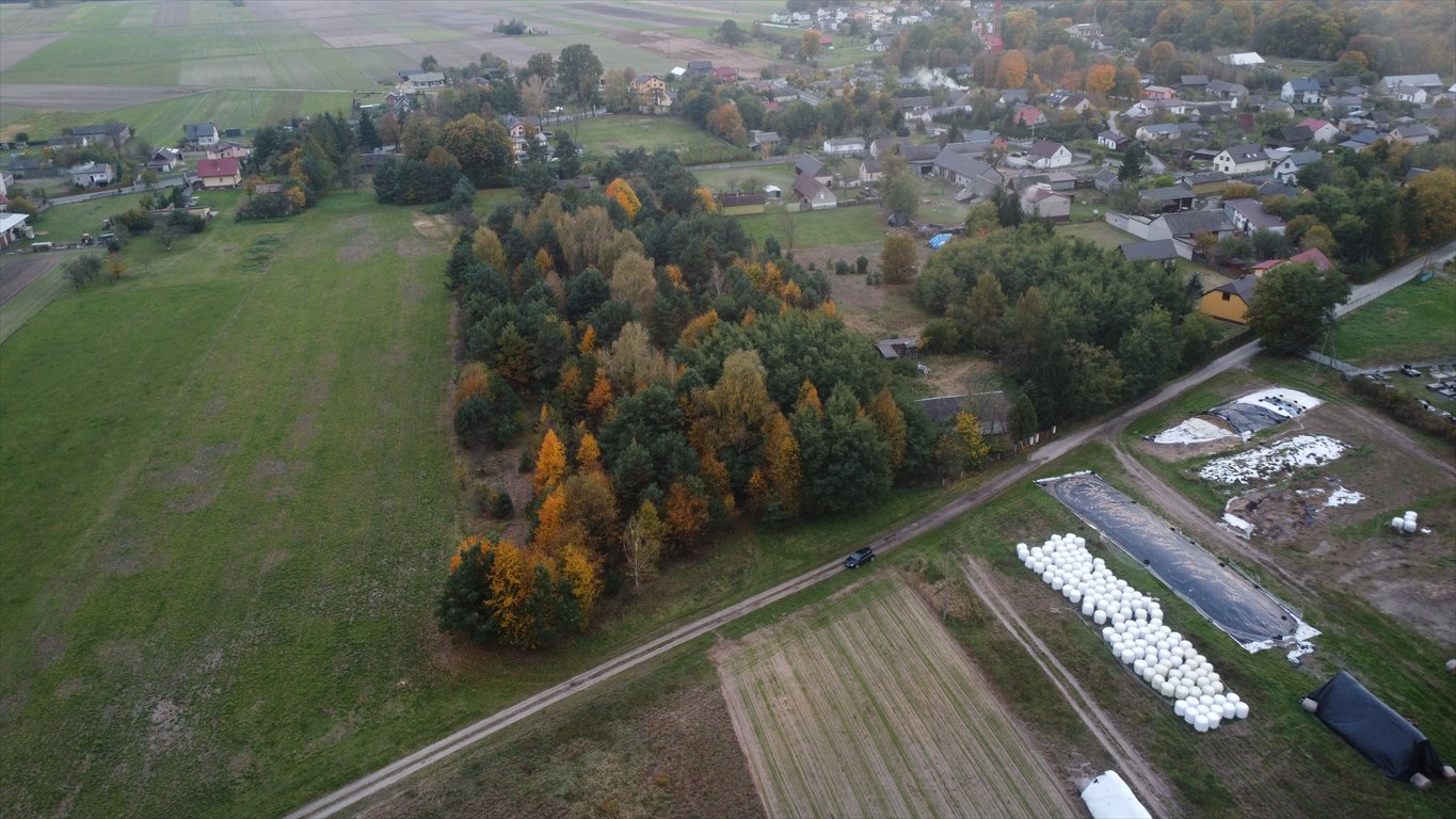 Działka budowlana na sprzedaż Cielętniki  13 500m2 Foto 7