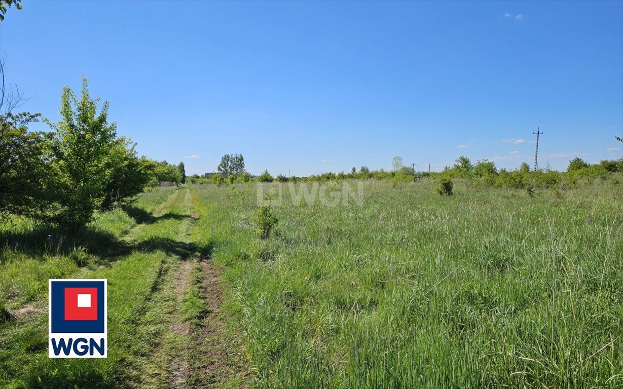 Działka budowlana na sprzedaż Myszków, Cicha  7 468m2 Foto 8