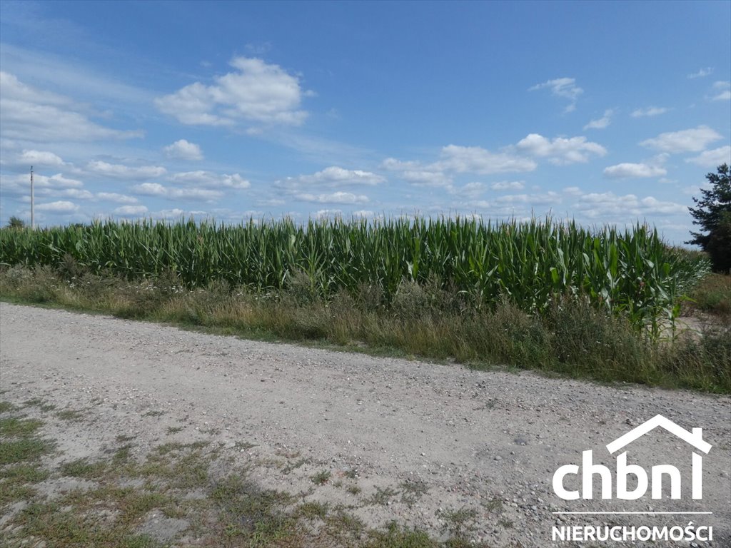 Działka rolna na sprzedaż Nowa Cerkiew  1 200m2 Foto 11