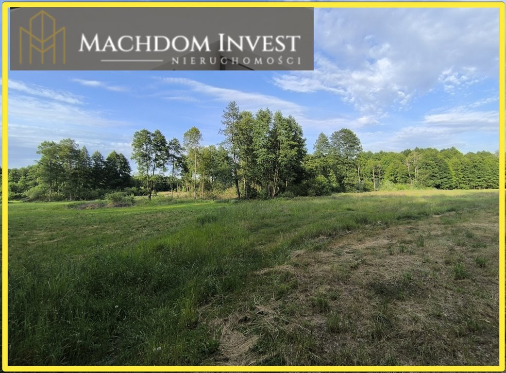 Działka rolna 8 000 m² w cichej okolicy, Rojewo Rojewo  8 000m2 Foto 1