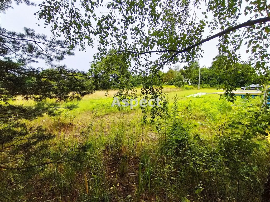 Działka budowlana na sprzedaż Siemonia  1 325m2 Foto 1