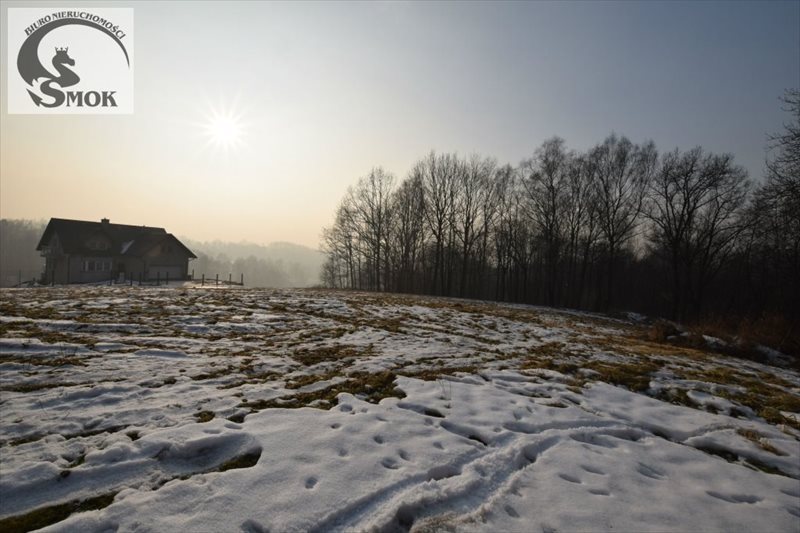 Działka leśna na sprzedaż Mogilany 3 000m2 Foto 1 Działka leśna na sprzedaż Mogilany 3 000m2 Foto 1