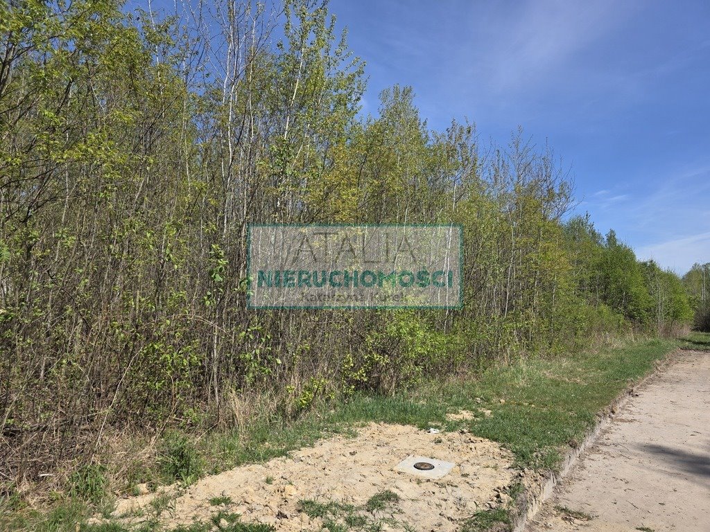 Polecam działkę 2110 m² z MPZP, media, zielona okolica Szczęsne  2 111m2 Foto 1