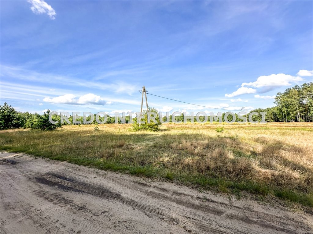 Działka rolna na sprzedaż Jedwabno  3 000m2 Foto 6