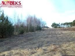 Działka pod zabudowę w Stasi Lasie, 7100 m², media w drodze Stasi Las  6 966m2 Foto 1