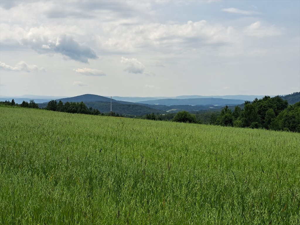 Działka rolna na sprzedaż Niebocko  2 860m2 Foto 11