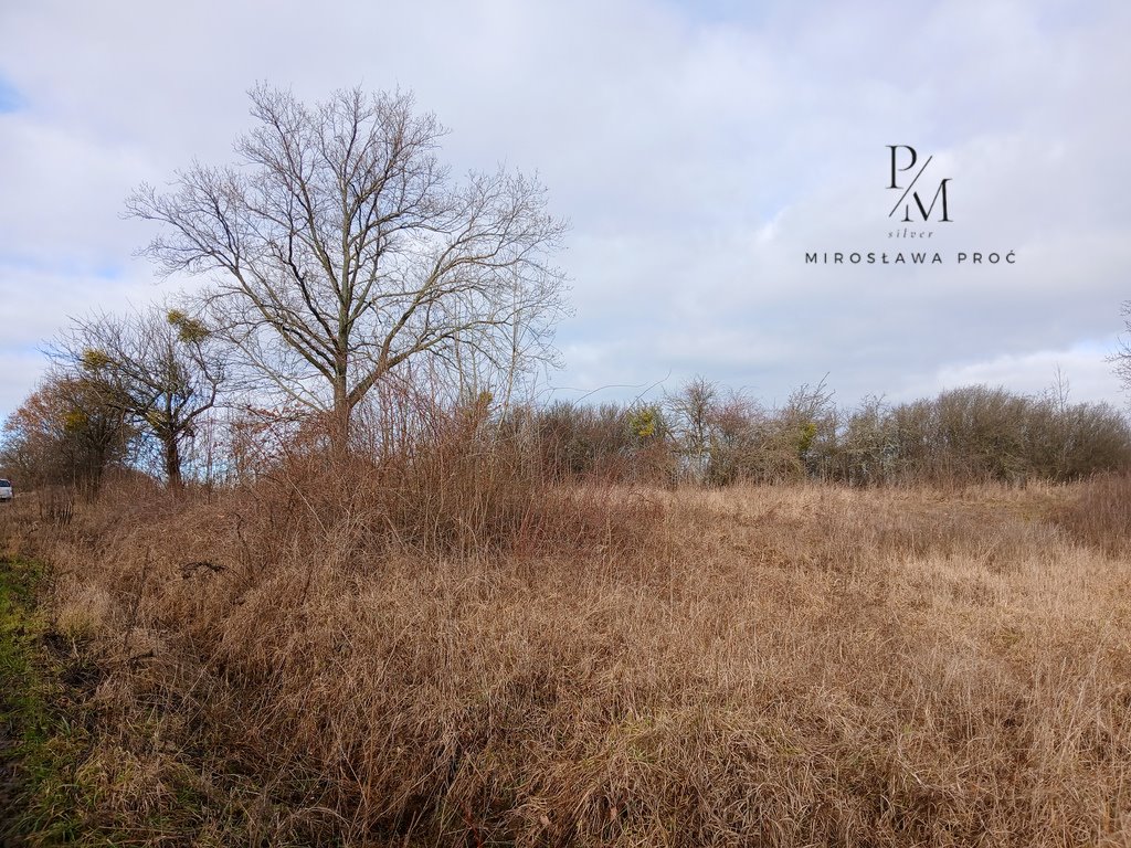 Działka budowlana na sprzedaż Piskorzyna  2 296m2 Foto 8