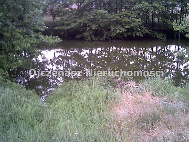 Działki pod zabudowę jednorodzinną, las, uzbrojenie Solec Kujawski  33 457m2 Foto 1