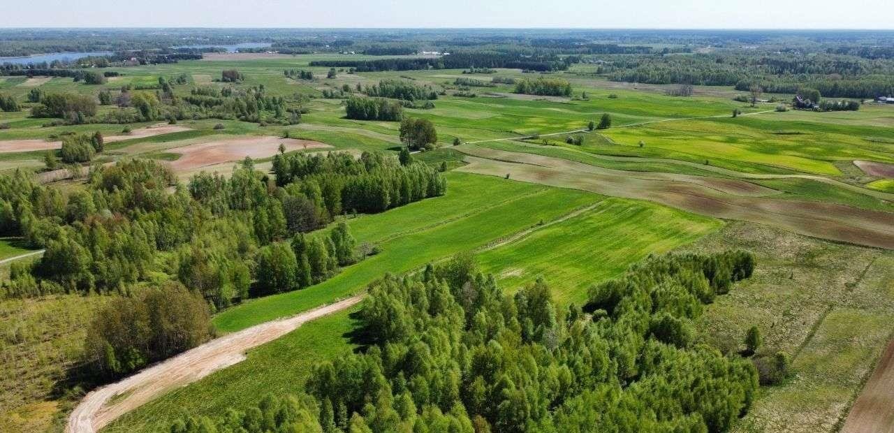 Działka rolna na sprzedaż Krasnopol  5 400m2 Foto 1