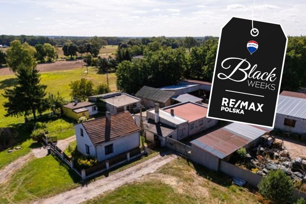 Działka komercyjna na sprzedaż Dalików  4 967m2 Foto 1