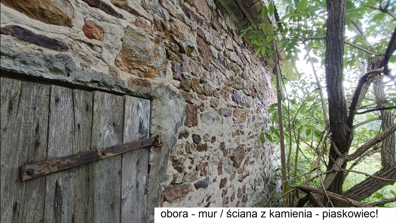 Dom na sprzedaż Dziewiątle  50m2 Foto 12