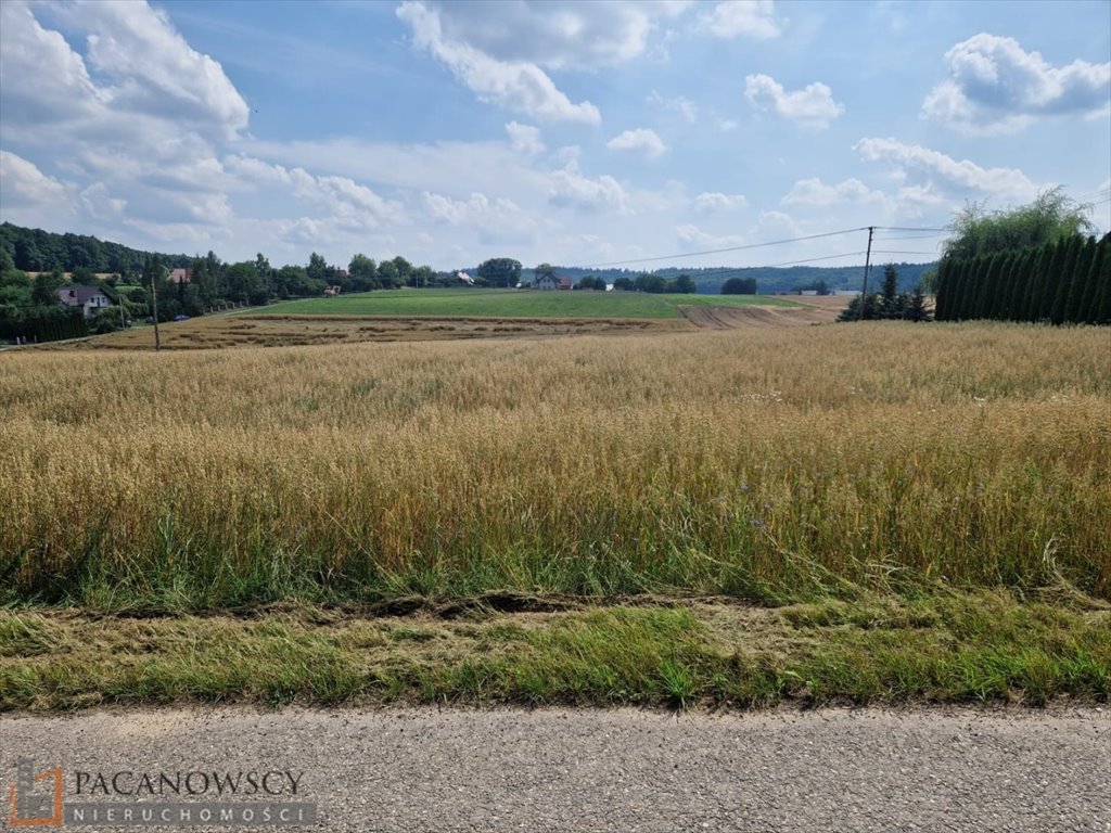 Działka budowlana na sprzedaż Zaborze  5 293m2 Foto 4