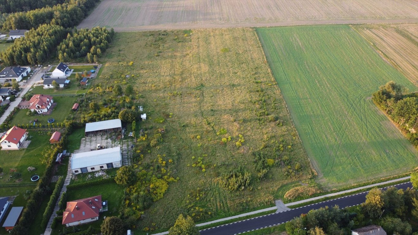 Działka budowlana na sprzedaż Głobino, Pogodna  13 800m2 Foto 4