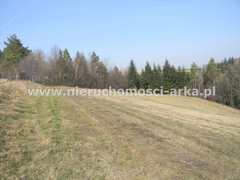 Działka inna na sprzedaż Stare Rybie 6 100m2 Foto 1 Działka inna na sprzedaż Stare Rybie 6 100m2 Foto 1