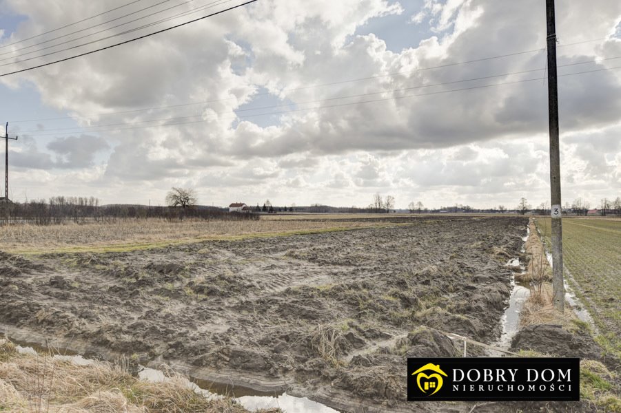 Działka budowlana na sprzedaż Bielsk Podlaski  1 055m2 Foto 4