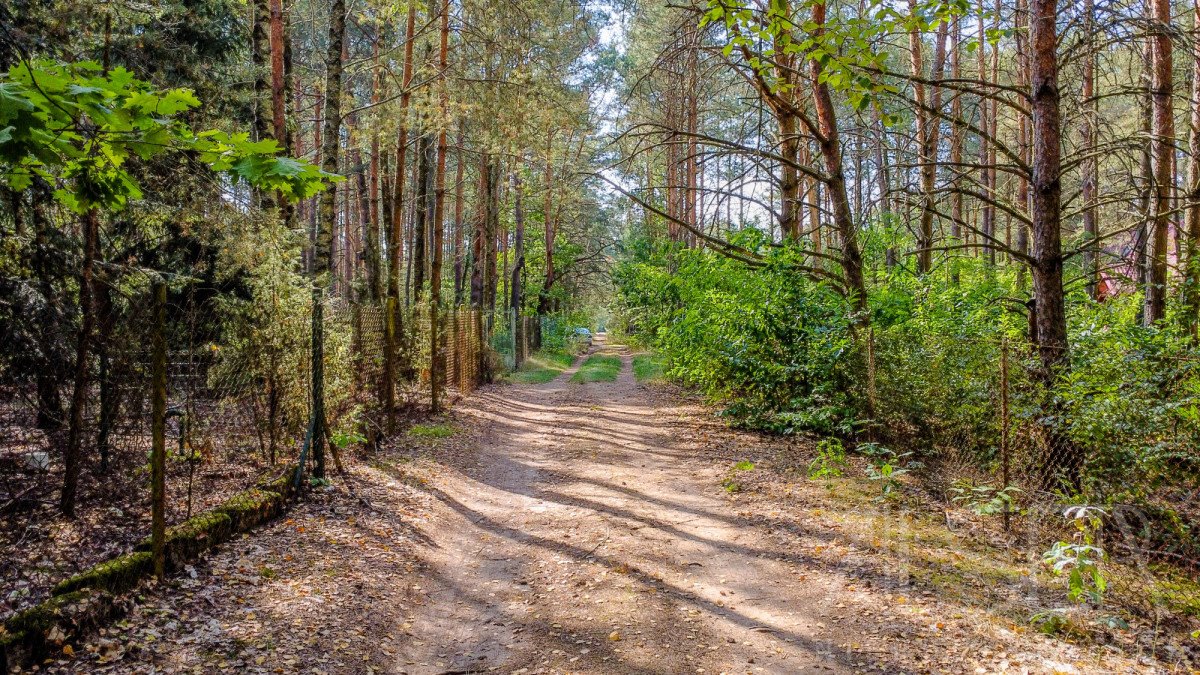 Działka rekreacyjna na sprzedaż Wólka-Wojciechówek, Topolowa  1 490m2 Foto 4