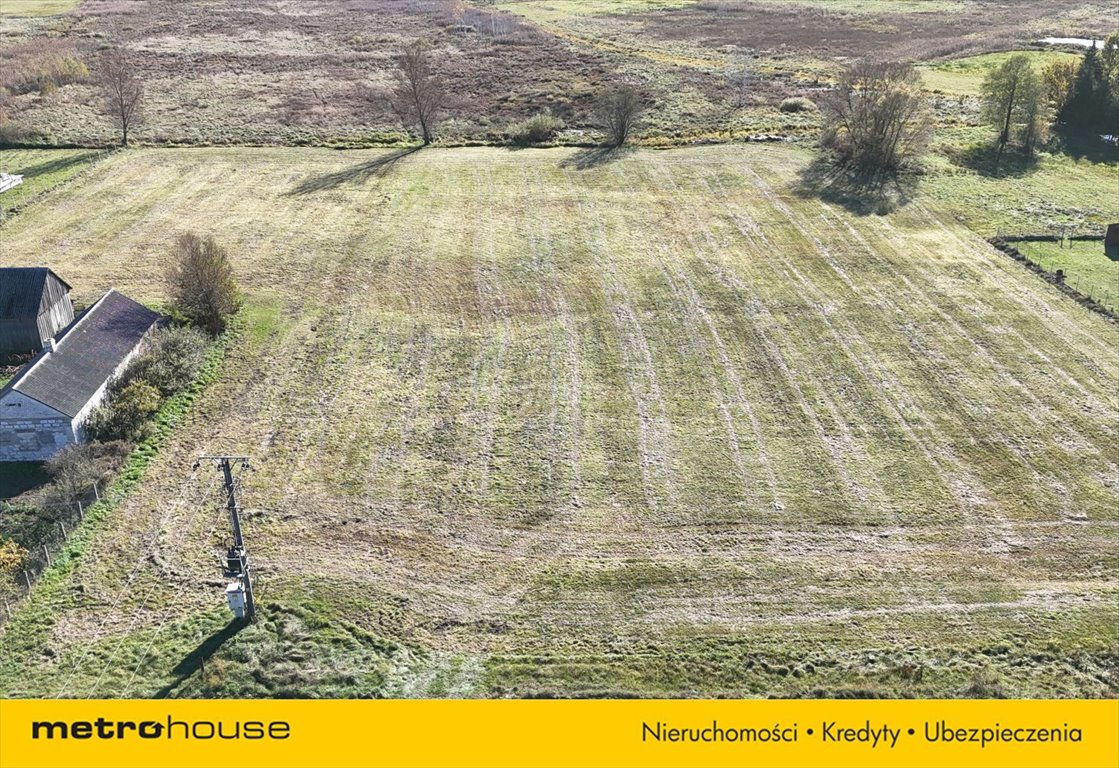 Działka rolna na sprzedaż Trzemuszka  3 938m2 Foto 3