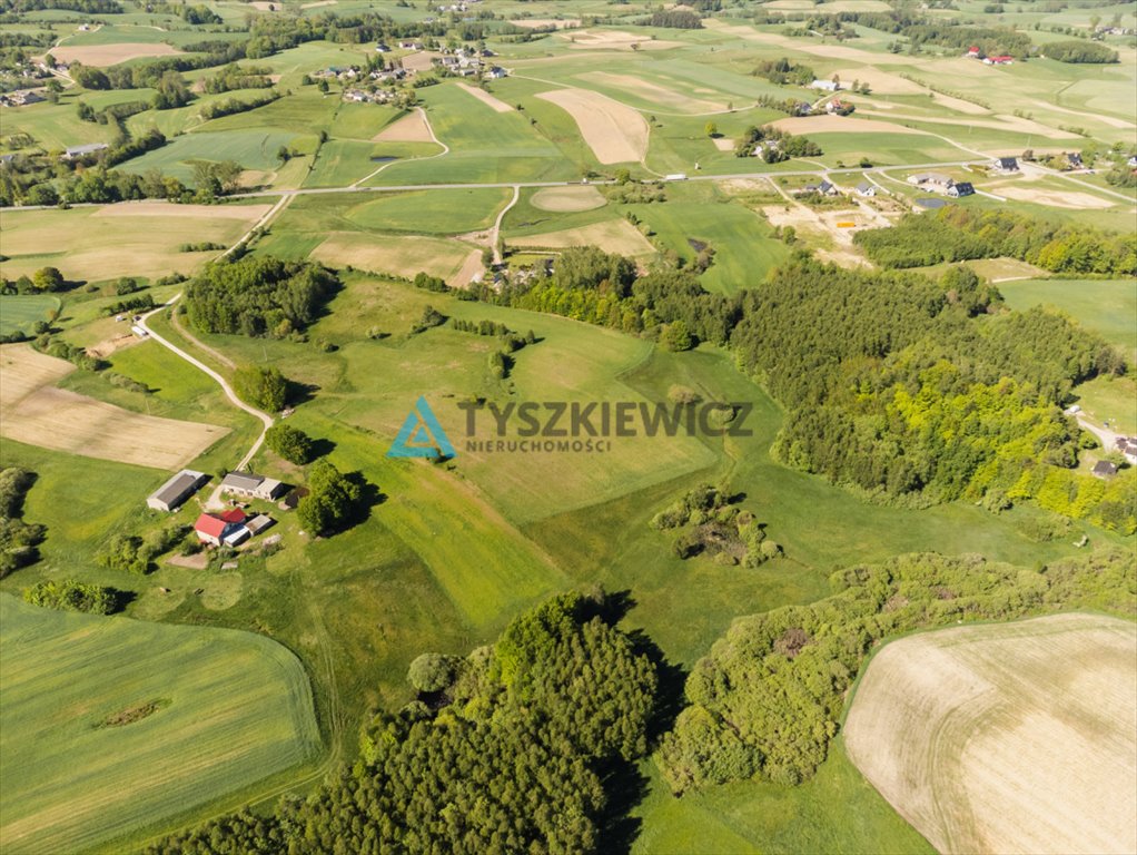 Działka budowlana na sprzedaż Łebieńska Huta  54 254m2 Foto 8