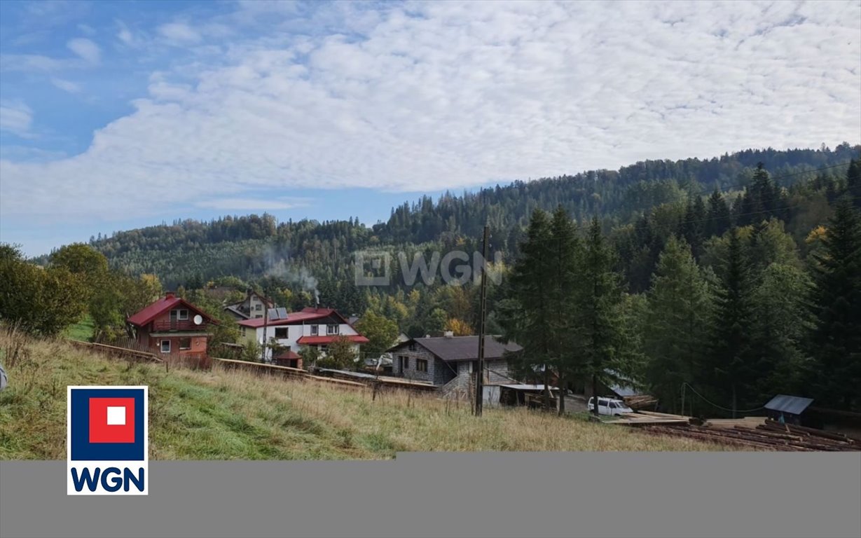 Działka rekreacyjna na sprzedaż Wisła, Jawornik  19 000m2 Foto 8