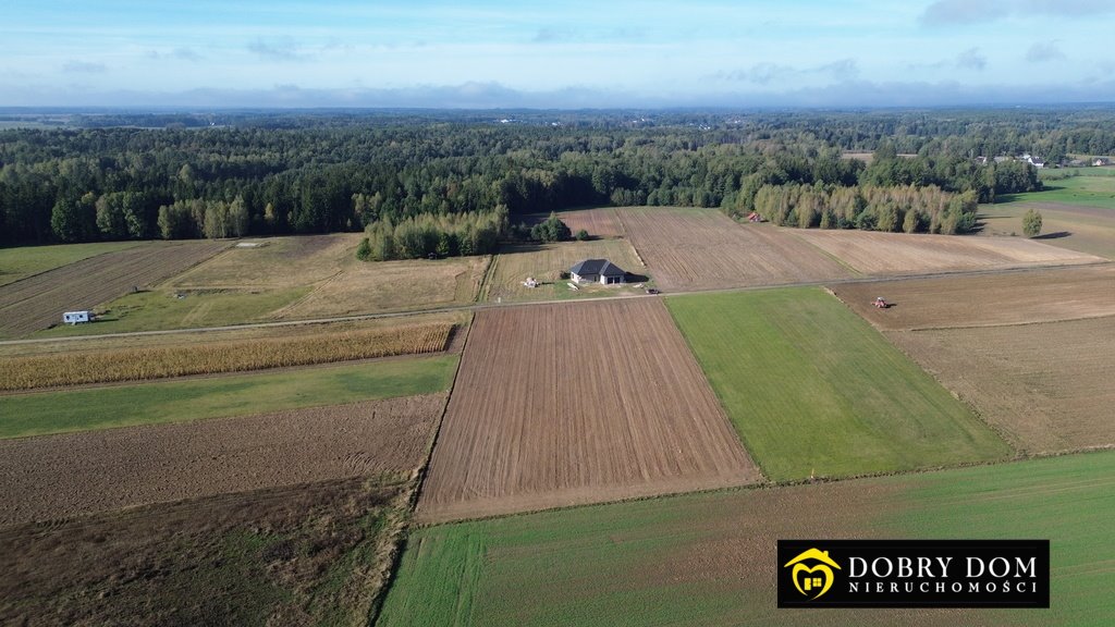 Działka budowlana na sprzedaż Niewodnica Nargilewska-Kolonia  3 000m2 Foto 11