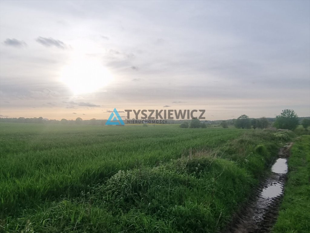 Działka rolna na sprzedaż Mierzeszyn  44 200m2 Foto 7