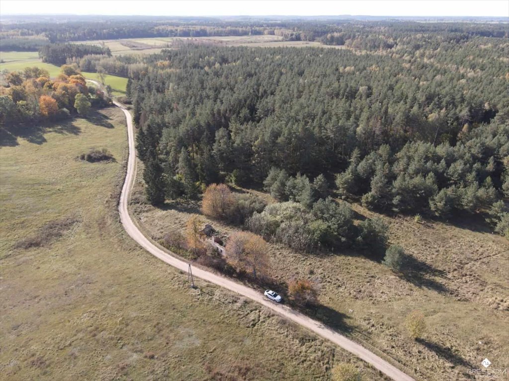 Działka rolna na sprzedaż Targowska Wola  2 655m2 Foto 8