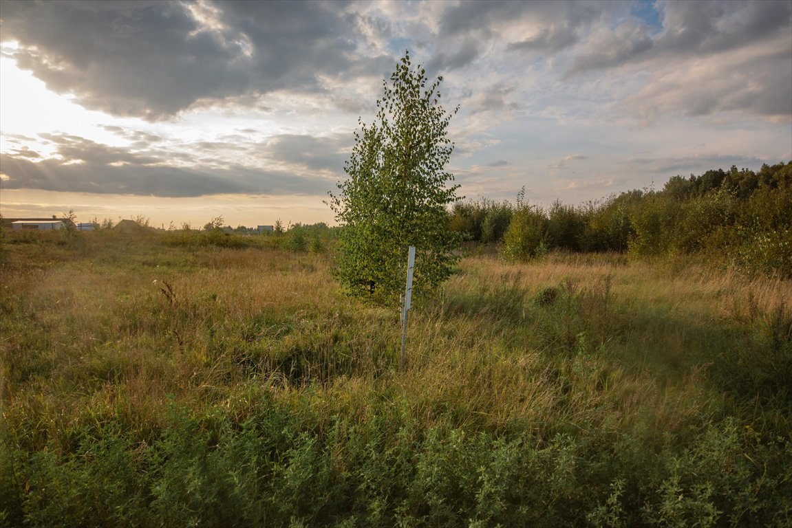 Działka inna na sprzedaż Kowalewo, Na Wzgórzu  1 014m2 Foto 11