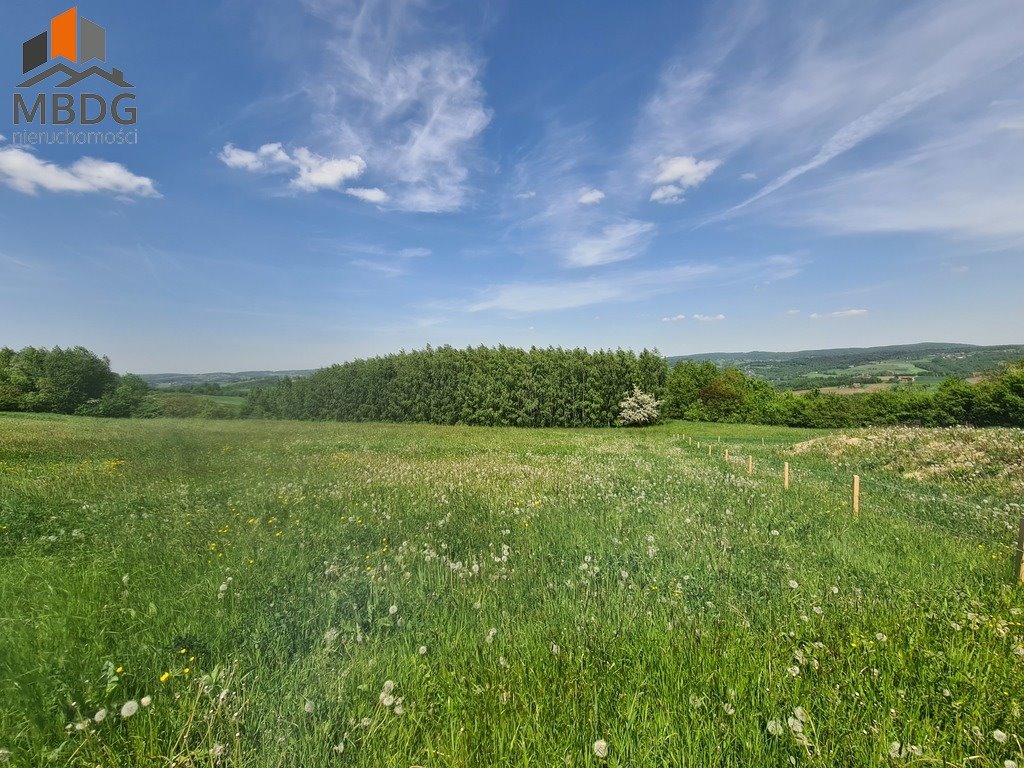 Działka budowlana na sprzedaż Zbydniów  8 200m2 Foto 1