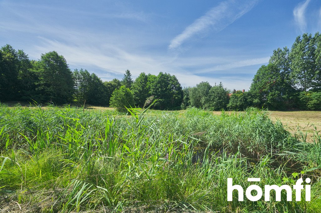 Działka budowlana na sprzedaż Dorotowo  13 000m2 Foto 14