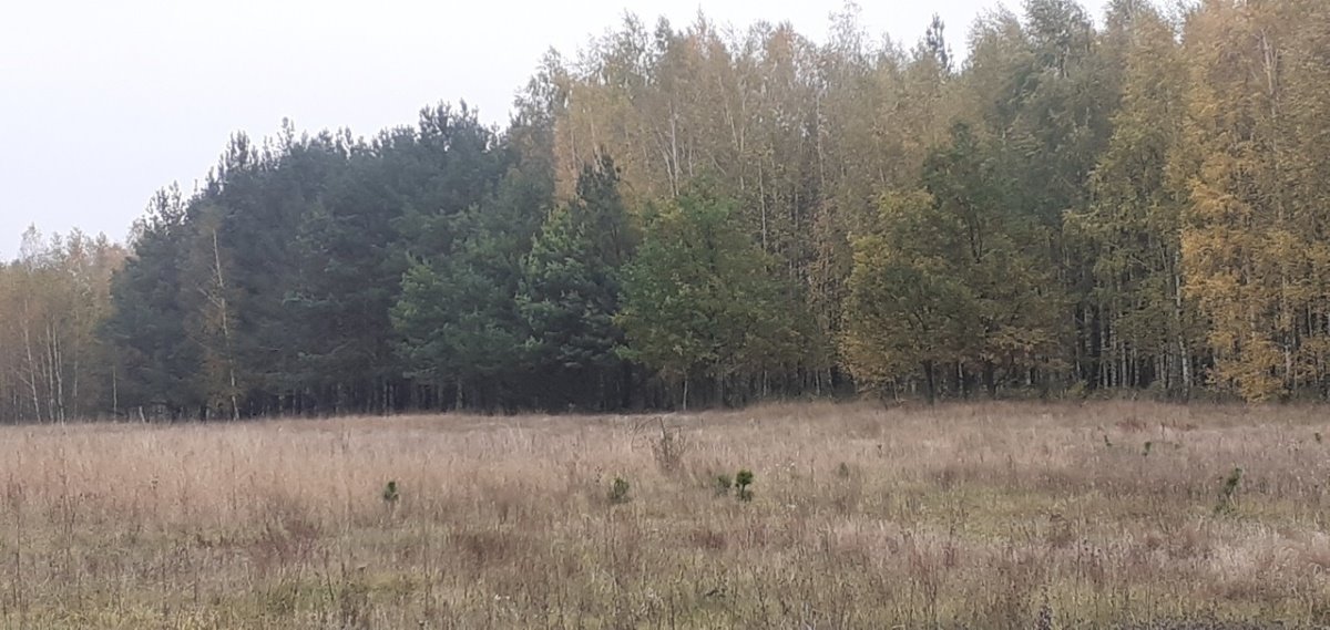 Działka budowlana na sprzedaż Pisz  1 527m2 Foto 2