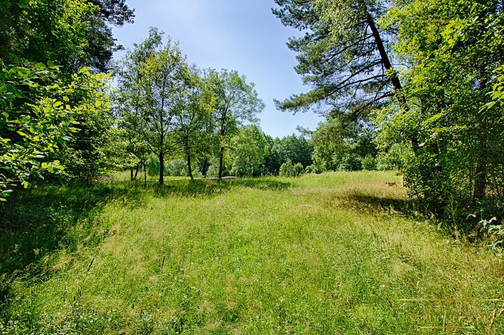 Działka rolna na sprzedaż Kuplisk, Kamienica  28 000m2 Foto 5