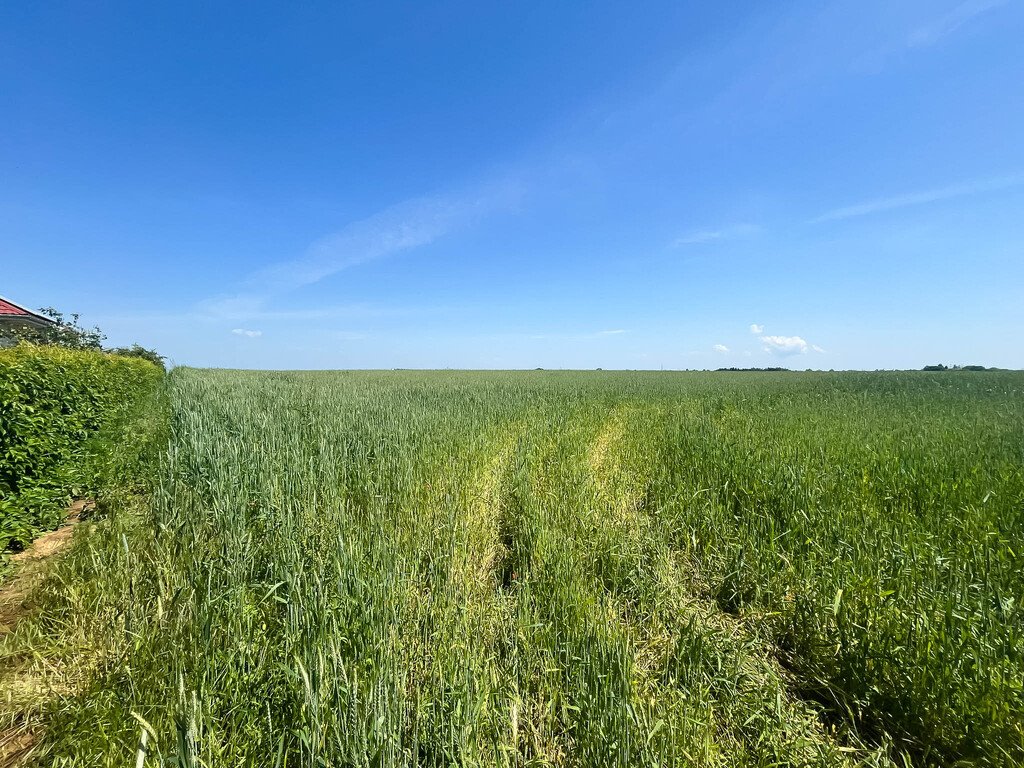 Działka budowlana na sprzedaż Opatów, Ćmielowska  1 323m2 Foto 13