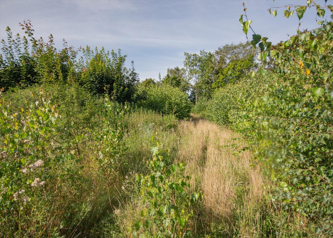 Działka budowlana na sprzedaż Kąpino  1 591m2 Foto 9