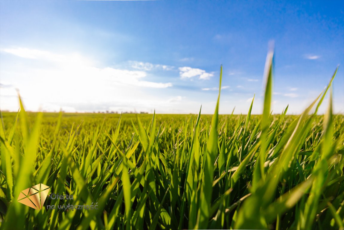 Działka rolna na sprzedaż Piotrkówek  3 200m2 Foto 10