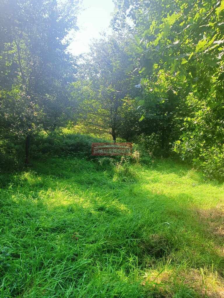 Działka budowlana na sprzedaż Sułków  800m2 Foto 2